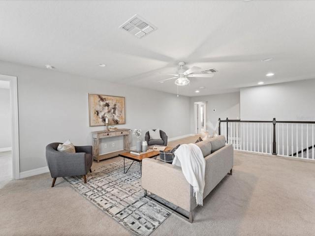 Upper Family Area