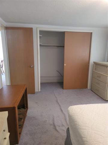 Master Deep Closet