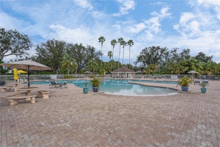 Shallow End Walk-In Pool/Lap Pool