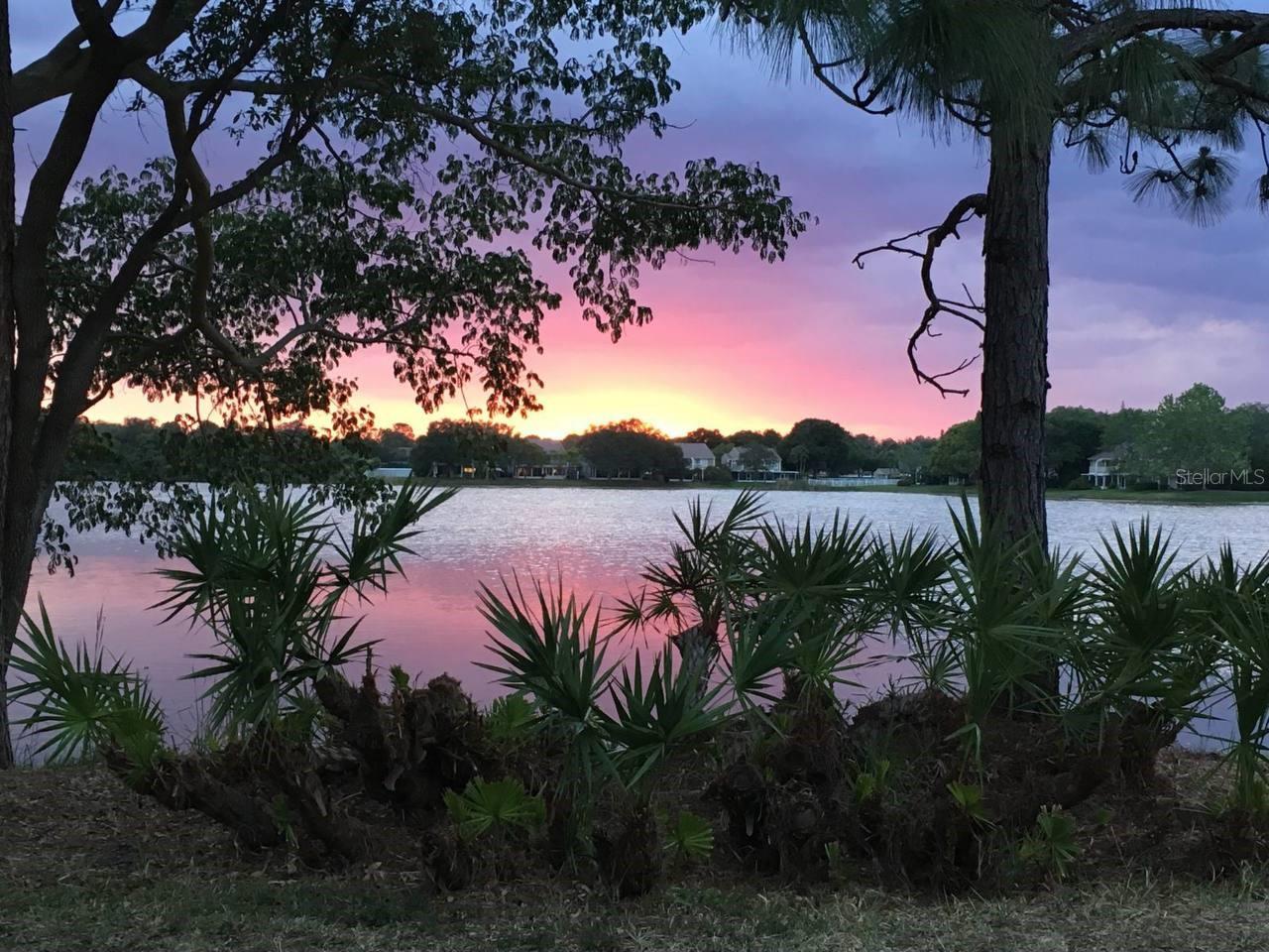 The gorgeous sunset you get to see
