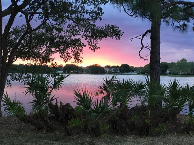 The gorgeous sunset you get to see