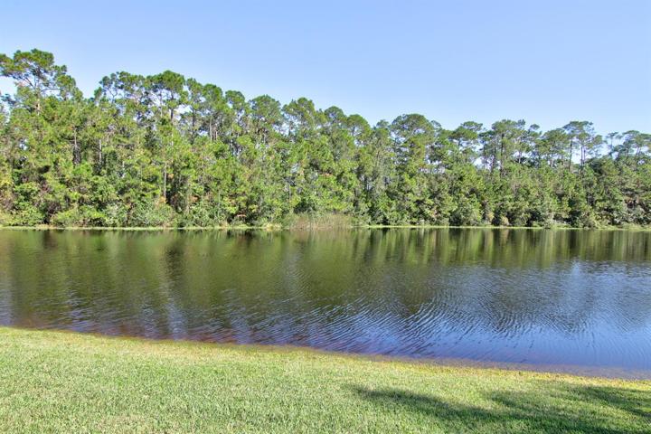 Overlooks nature area