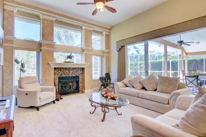 Gas burning fireplace