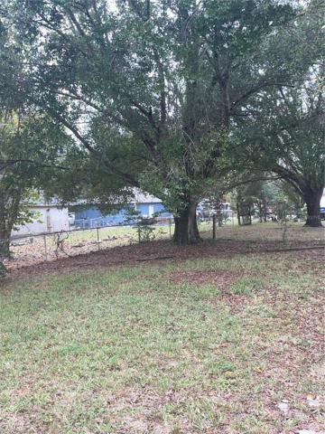 Large Rear Yard