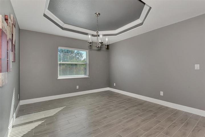 Dining Area off Kitchen with Tray Ceiling