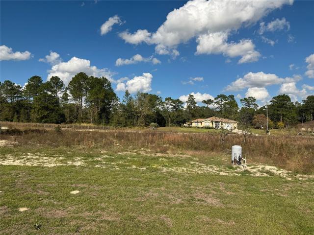 View to Rear of Property