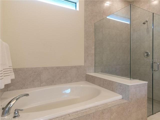 Master Tub and Shower