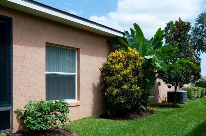 The backyard also has quality landscaping including stately palms.