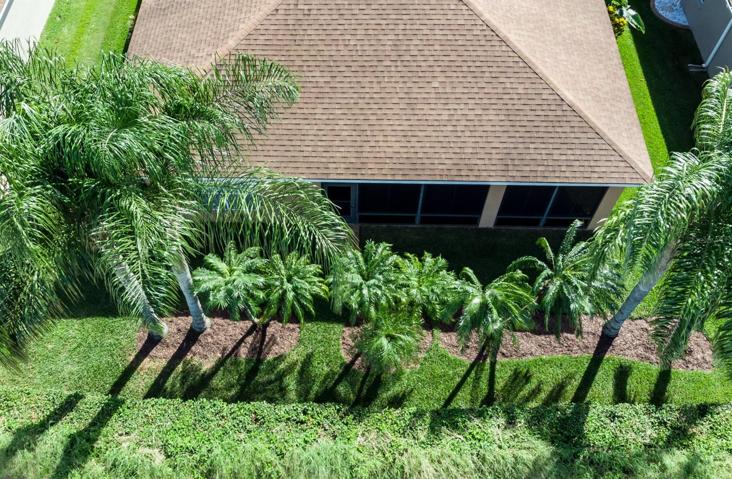 The backyard has stately palms and quality plantings.