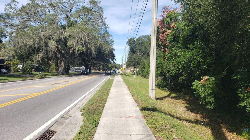 Looking Northward on Old Polk City Road.  Property is on the right