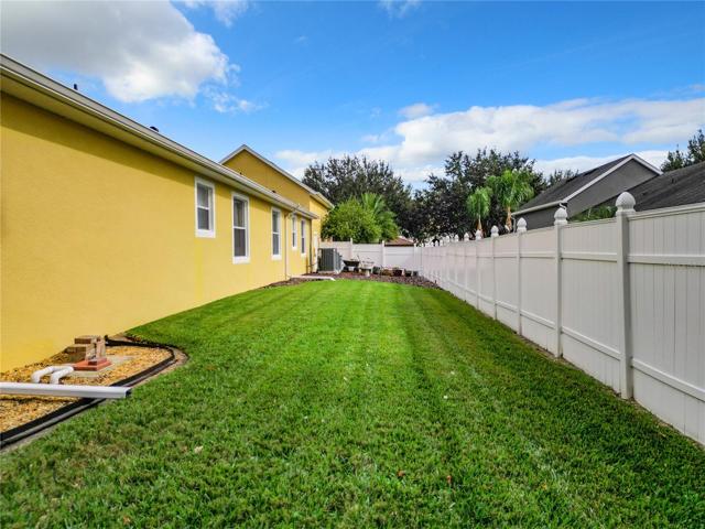 Incredible yard