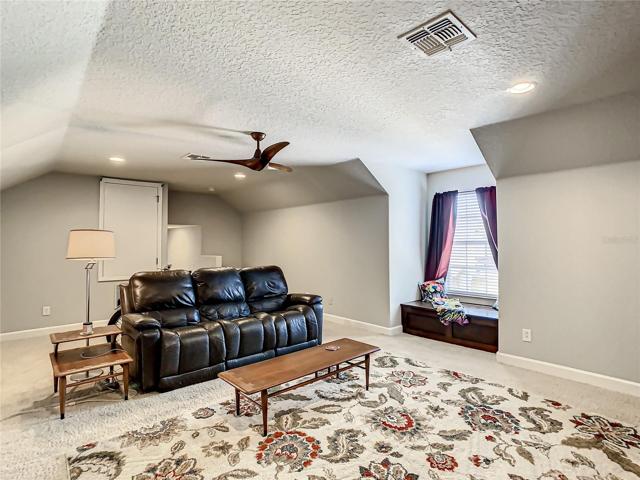 Theater room?