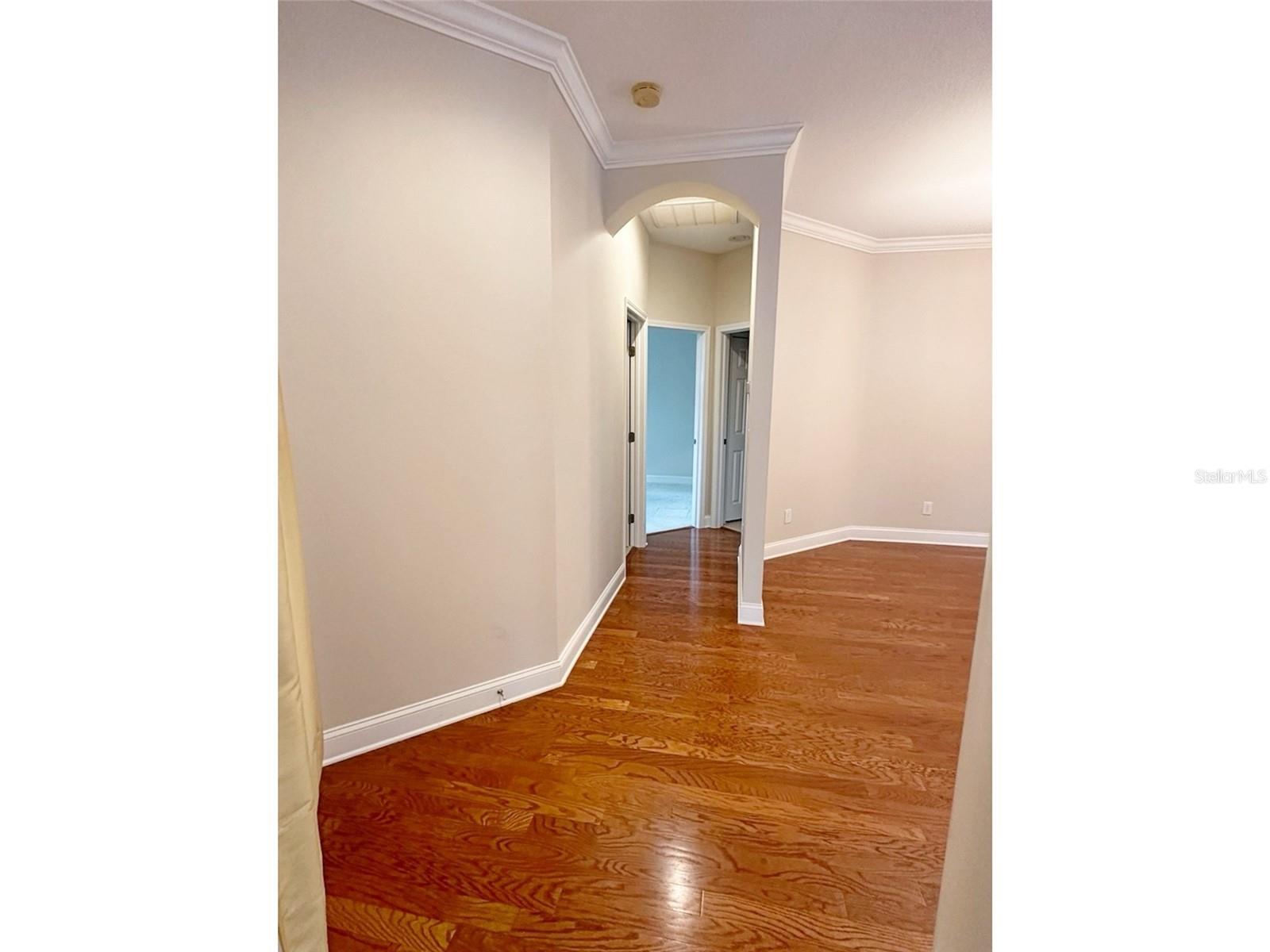 Guest Hallway