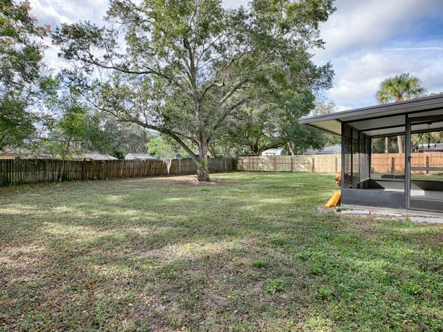 Large fenced-in backyard