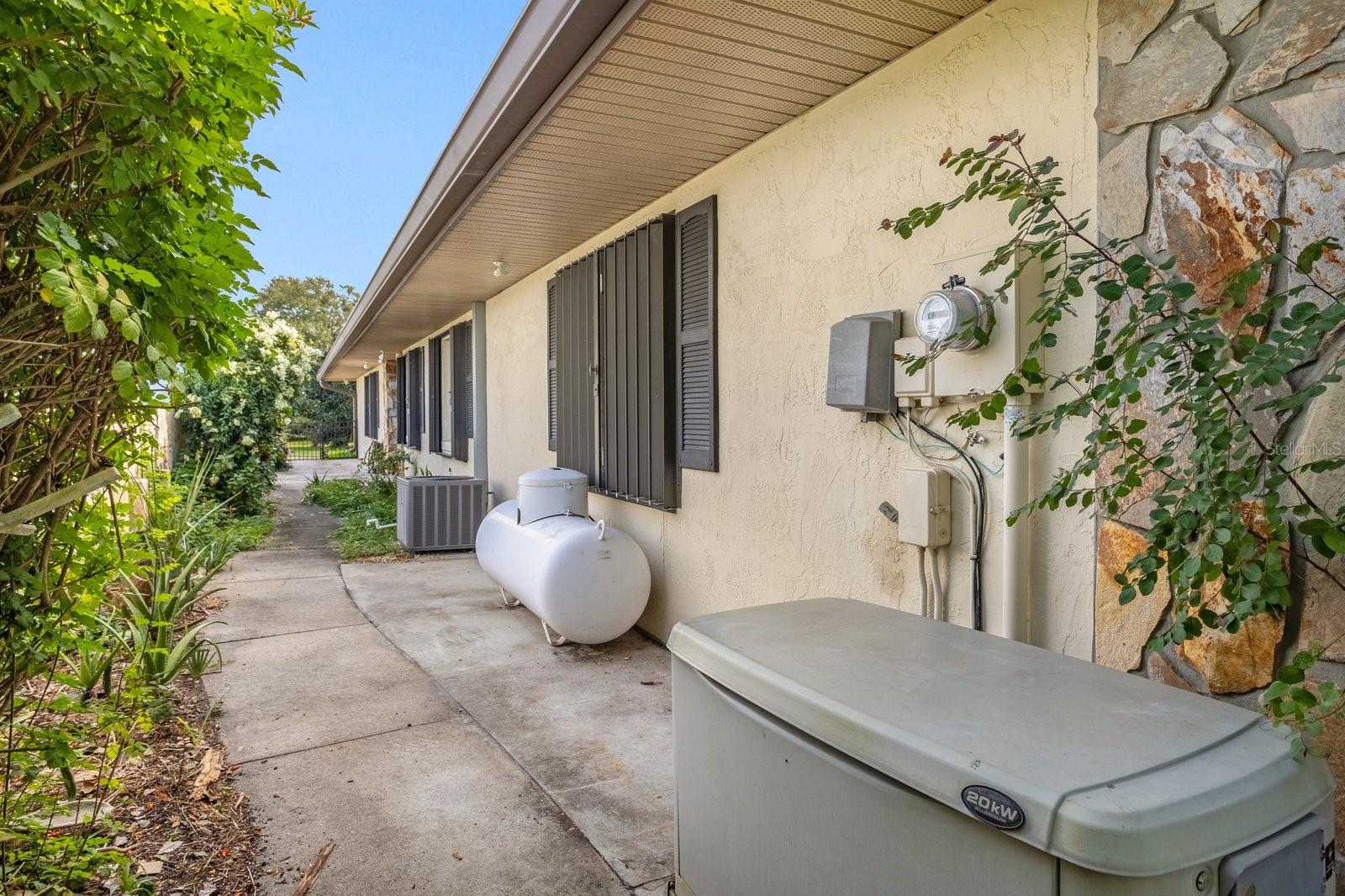 Gated Side Entrance with Generator and Propane Tank
