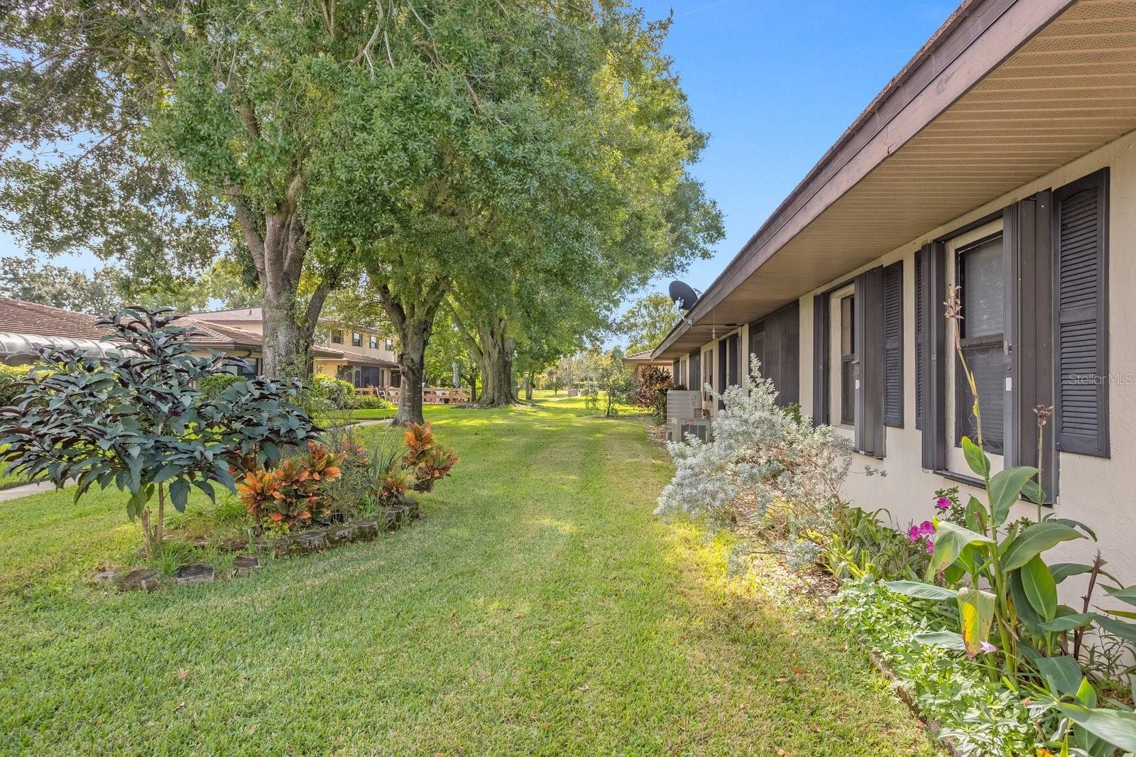 Backyard, Rear View