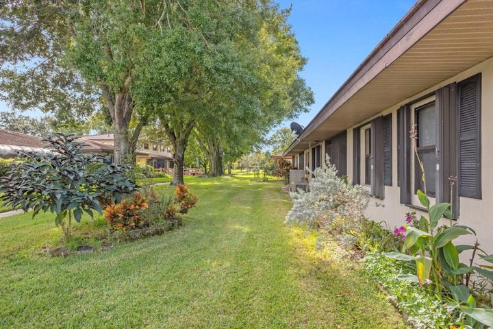 Backyard, Rear View