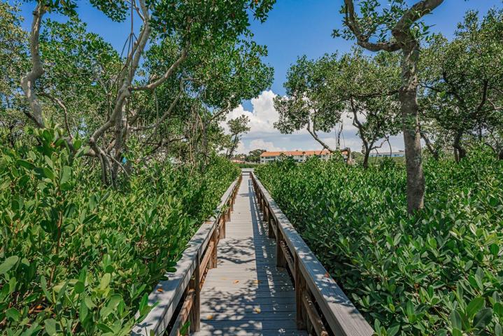 Boardwalk to the dock