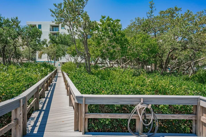 Boardwalk to the dock