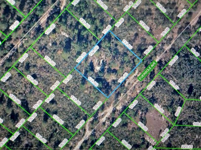 Blue highlighted lot for sale. There is a clear path to access the lot