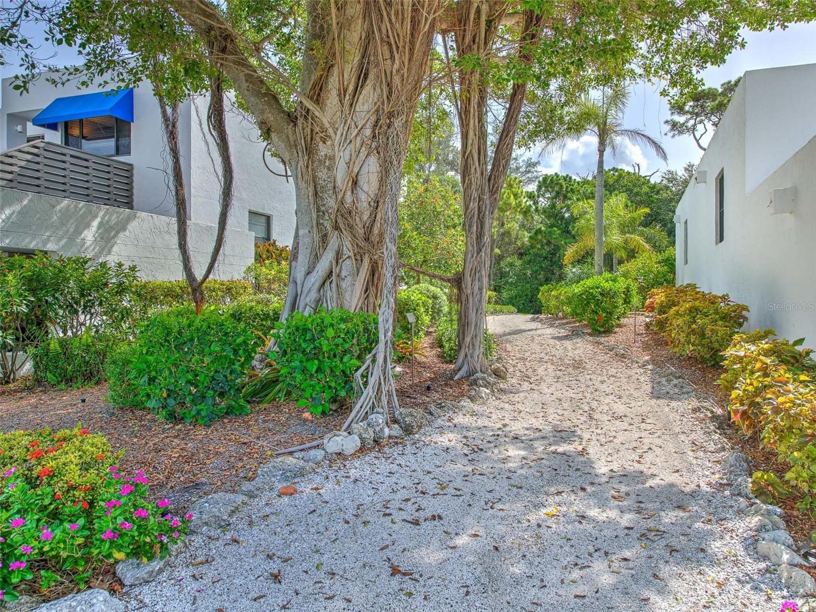 Longboat Key, Florida 34228, 2 Bedrooms Bedrooms, 0 ,2 BathroomsBathrooms,Residential Lease,For Rent,BAYPORT,0,T3488580