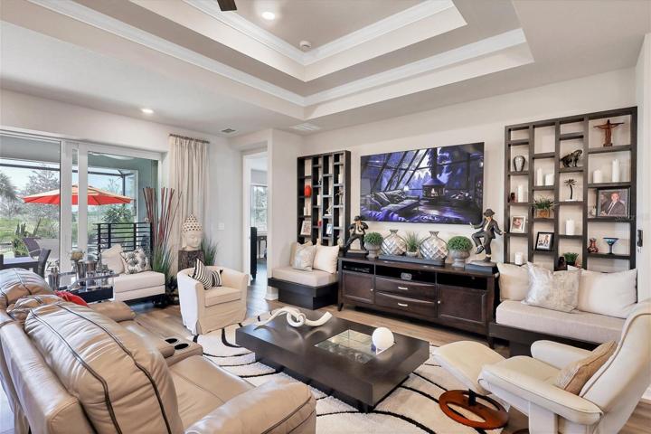 Tray ceilings in living room