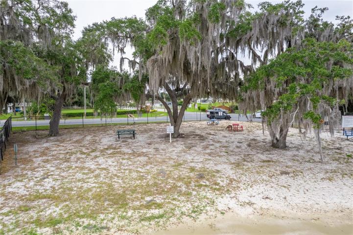 Community Park