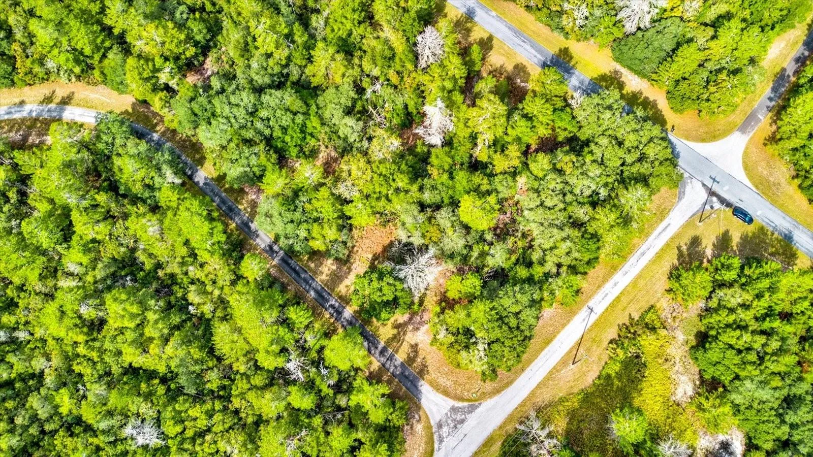 Ocala, Florida 34473, 0 , 0 ,0,Land,For Sale,148TH PLACE,0,T3488686