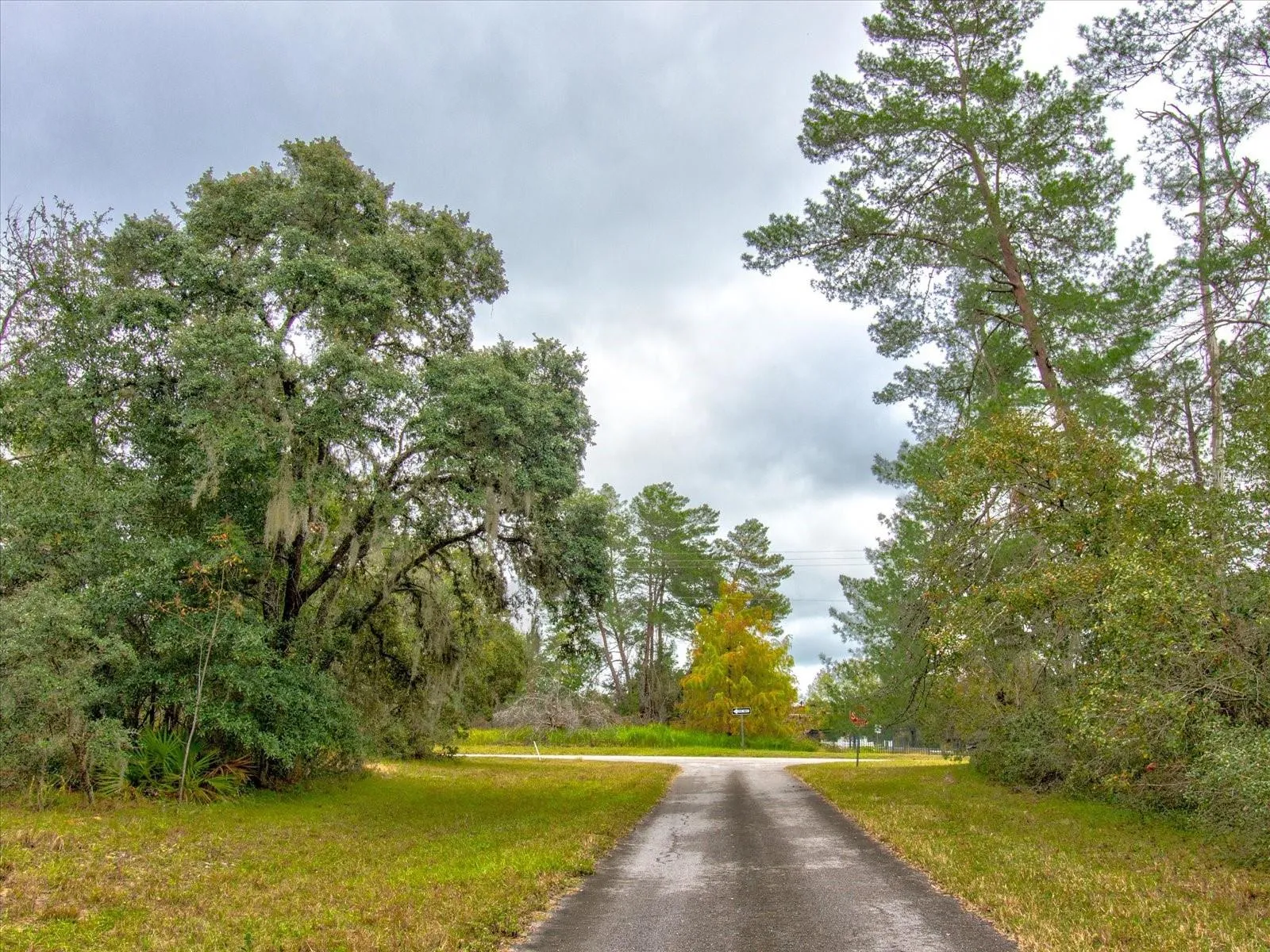 Ocala, Florida 34473, 0 , 0 ,0,Land,For Sale,148TH PLACE,0,T3488686