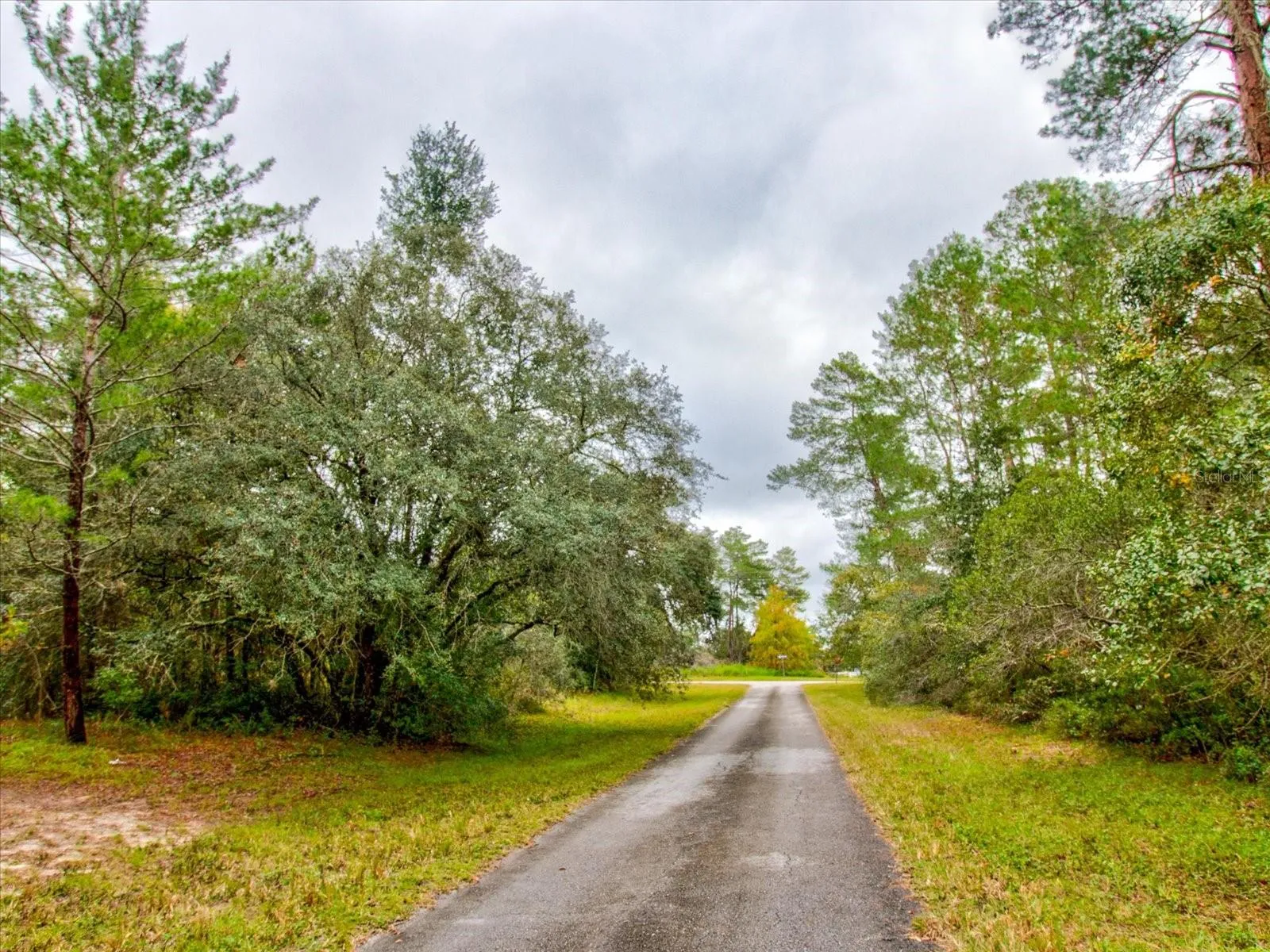 Ocala, Florida 34473, 0 , 0 ,0,Land,For Sale,148TH PLACE,0,T3488686