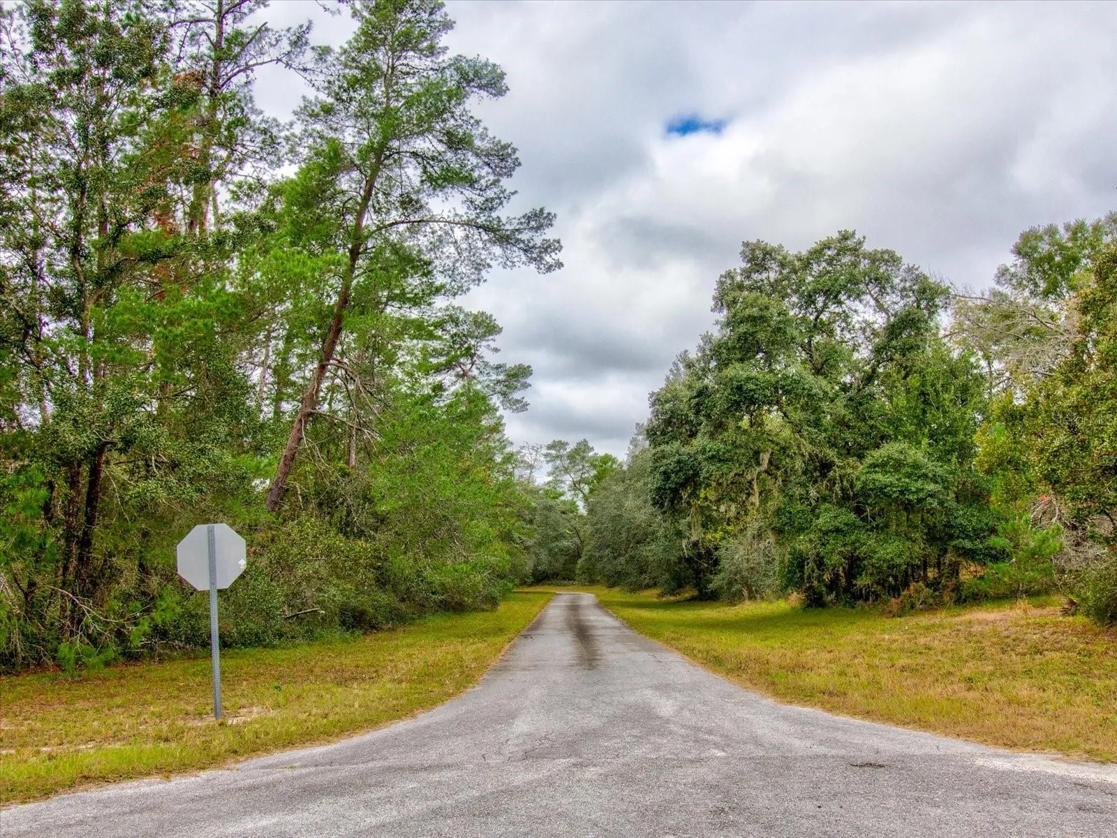 Ocala, Florida 34473, 0 , 0 ,0,Land,For Sale,148TH PLACE,0,T3488686