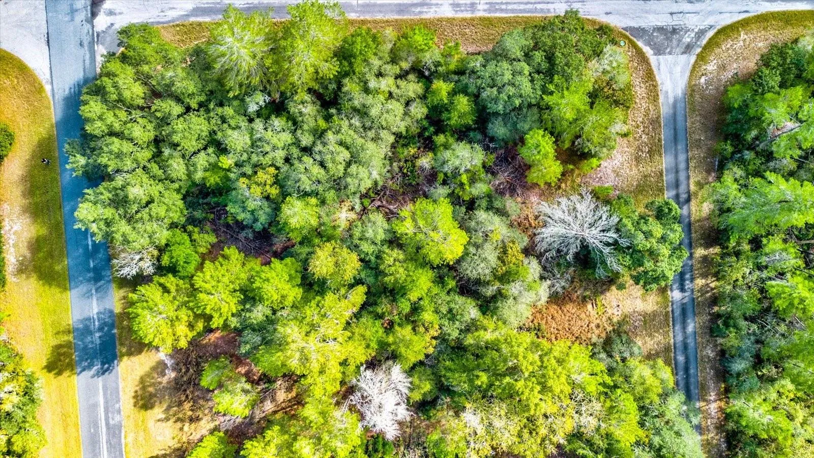 Ocala, Florida 34473, 0 , 0 ,0,Land,For Sale,148TH PLACE,0,T3488686