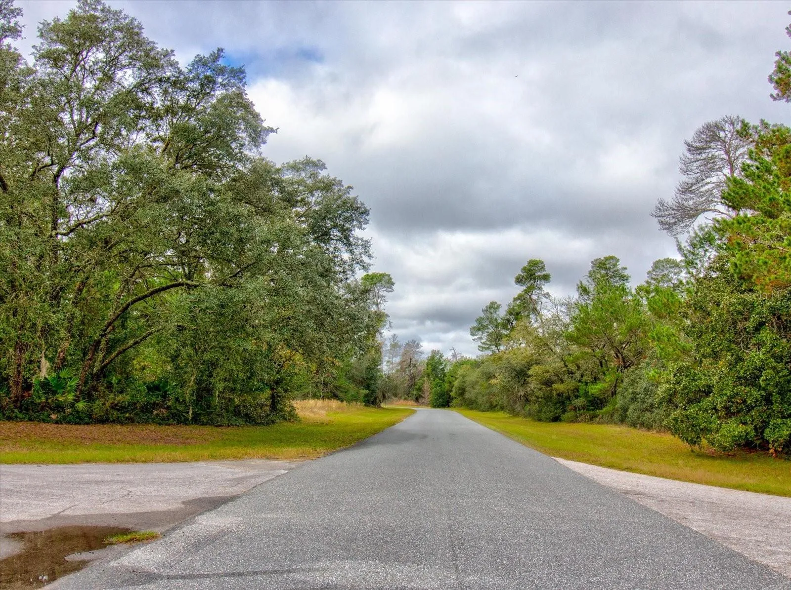 Ocala, Florida 34473, 0 , 0 ,0,Land,For Sale,148TH PLACE,0,T3488686