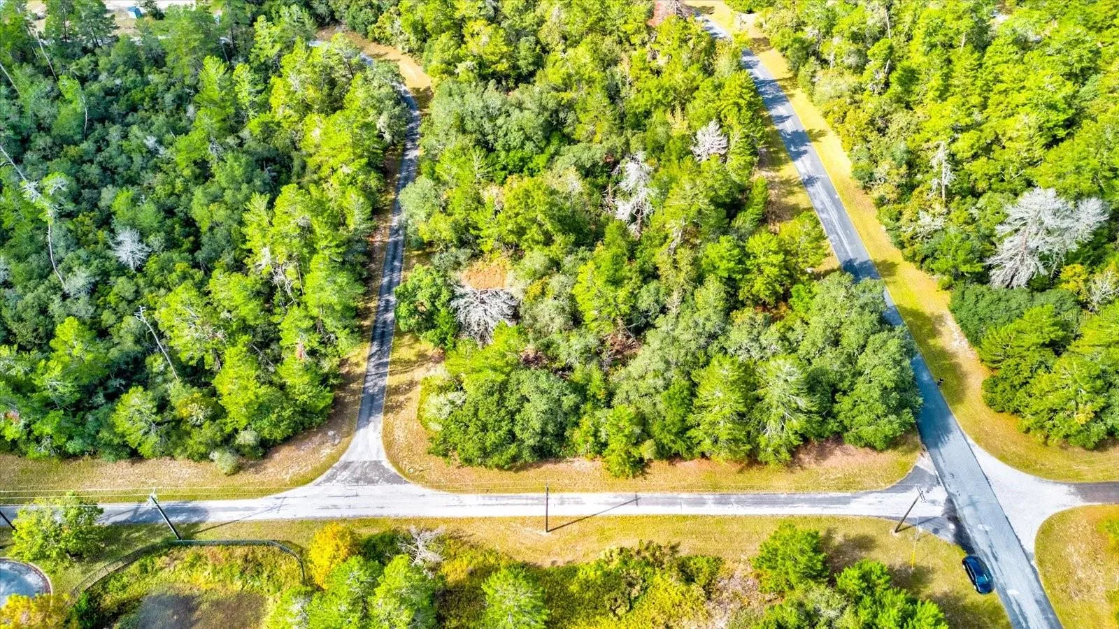 Ocala, Florida 34473, 0 , 0 ,0,Land,For Sale,148TH PLACE,0,T3488686