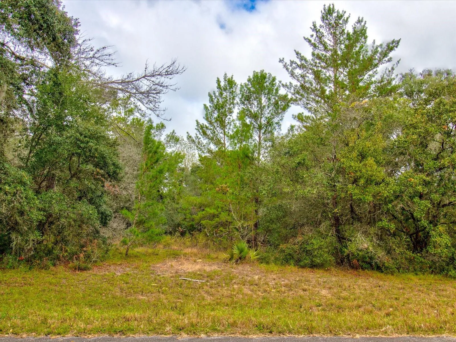 Ocala, Florida 34473, 0 , 0 ,0,Land,For Sale,148TH PLACE,0,T3488686