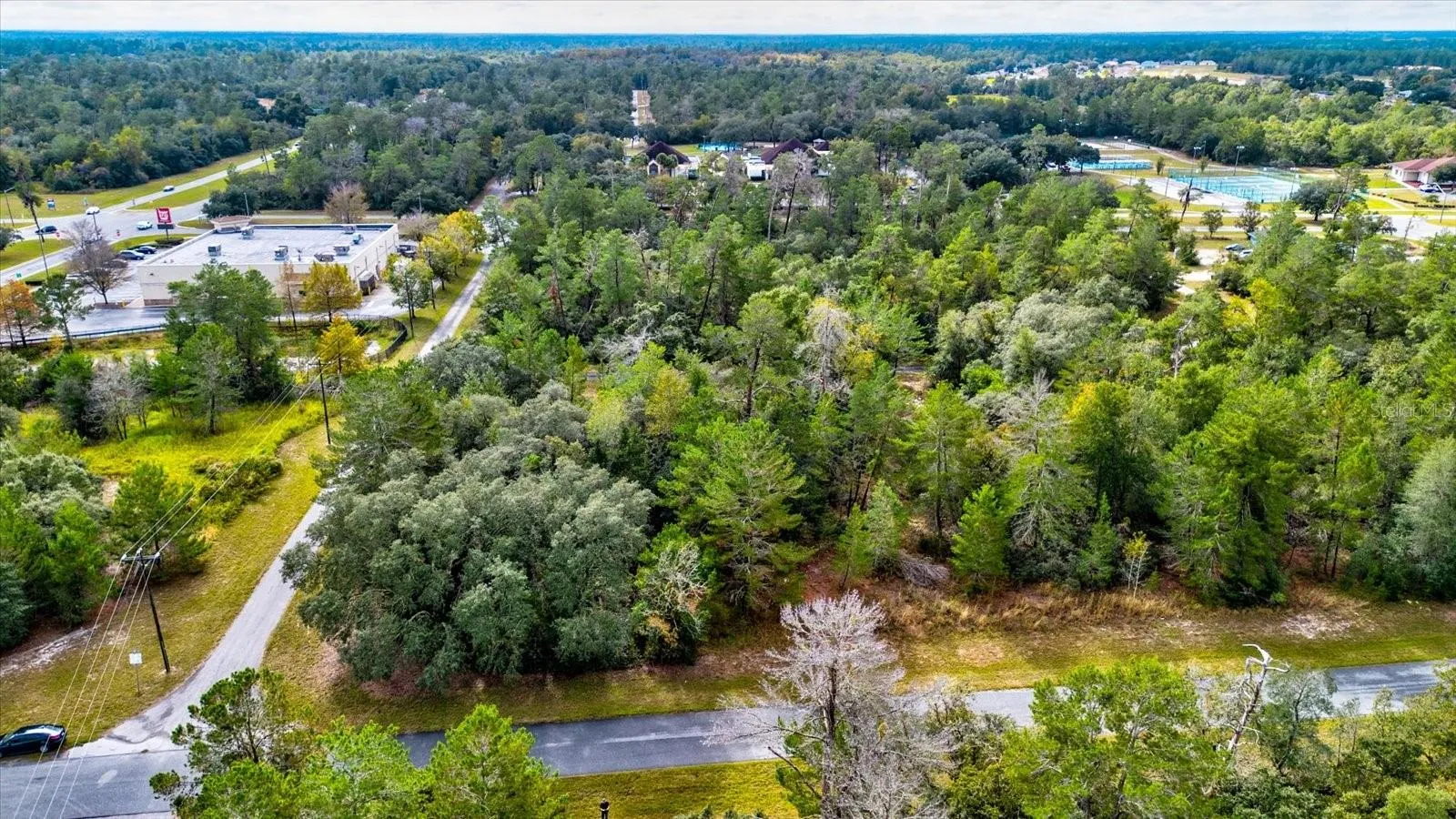 Ocala, Florida 34473, 0 , 0 ,0,Land,For Sale,148TH PLACE,0,T3488686