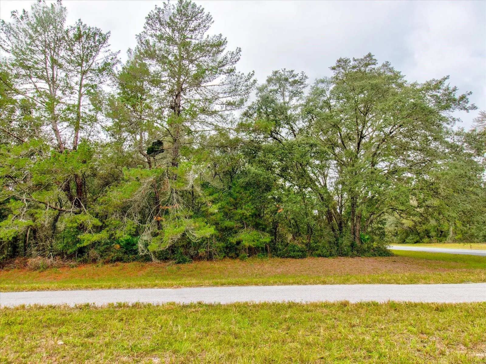 Ocala, Florida 34473, 0 , 0 ,0,Land,For Sale,148TH PLACE,0,T3488686