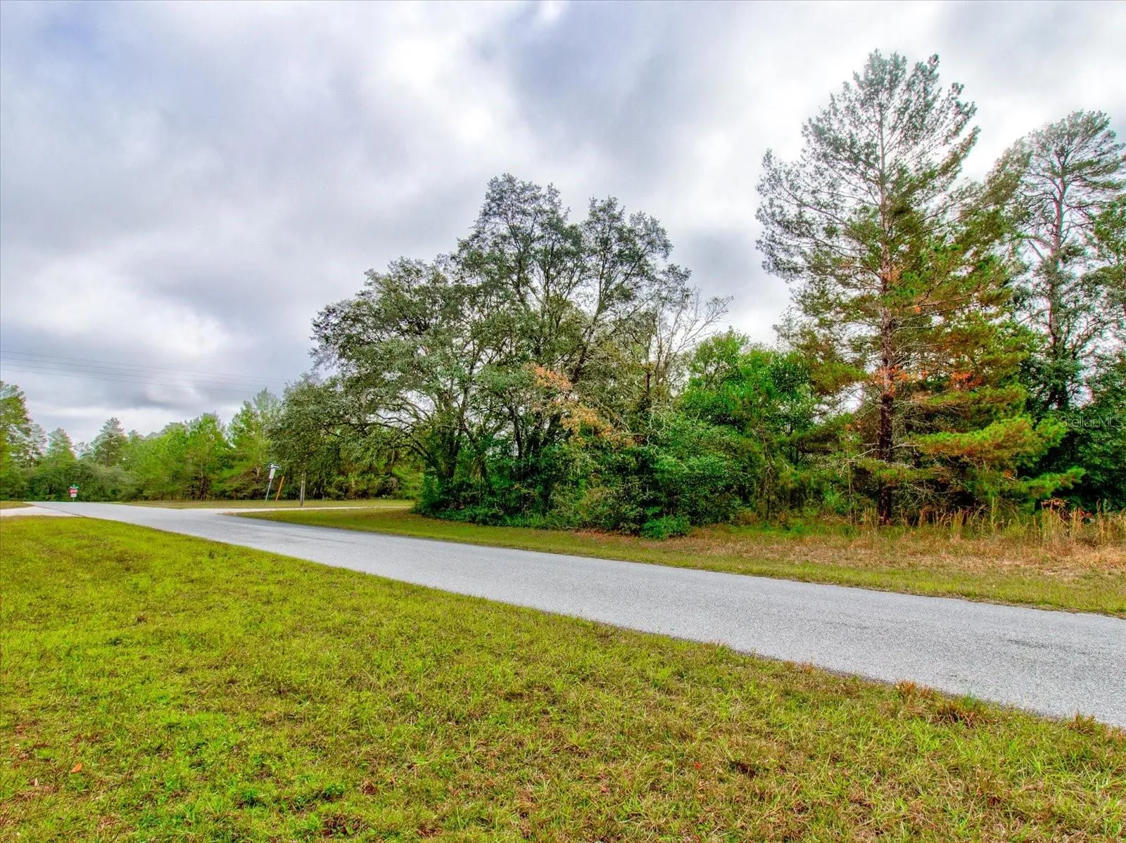 Ocala, Florida 34473, 0 , 0 ,0,Land,For Sale,148TH PLACE,0,T3488686
