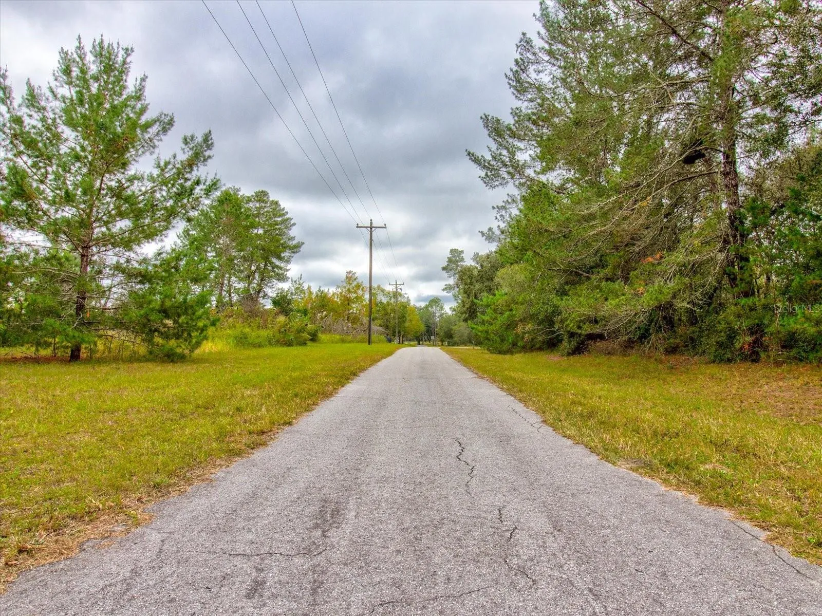 Ocala, Florida 34473, 0 , 0 ,0,Land,For Sale,148TH PLACE,0,T3488686