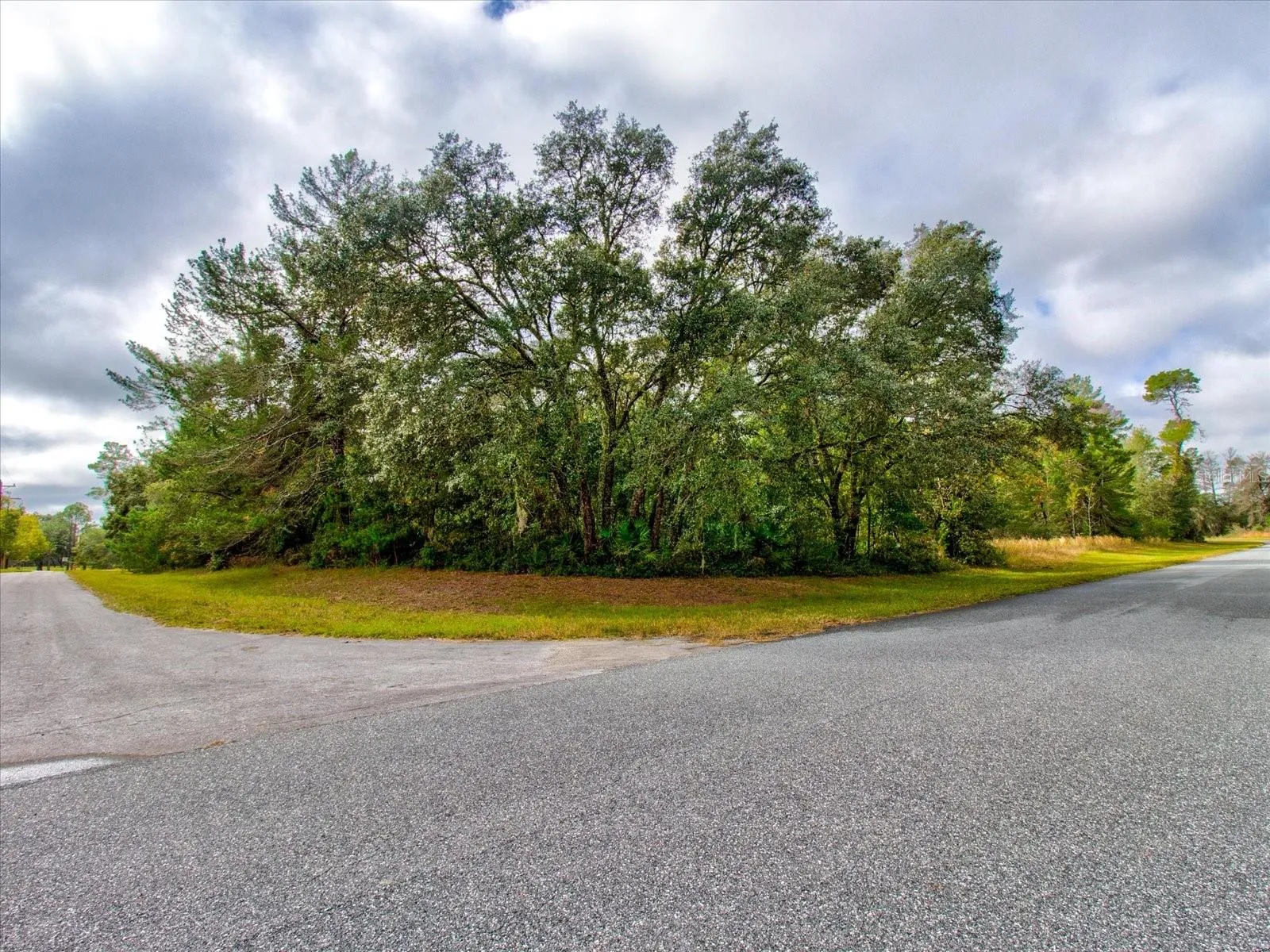 Ocala, Florida 34473, 0 , 0 ,0,Land,For Sale,148TH PLACE,0,T3488686