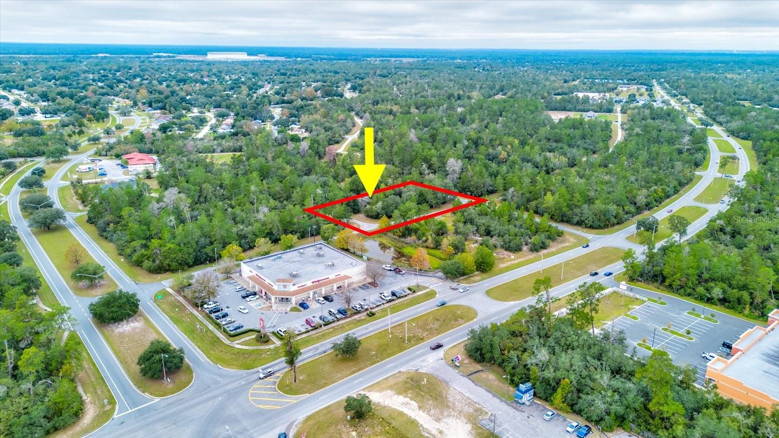 Ocala, Florida 34473, 0 , 0 ,0,Land,For Sale,148TH PLACE,0,T3488686