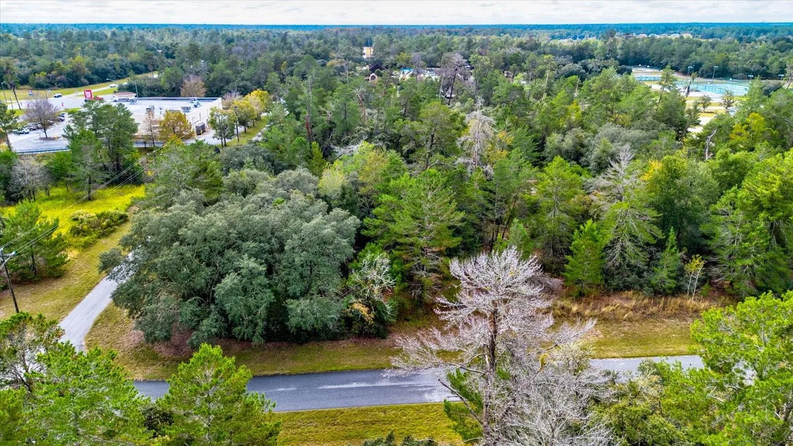Ocala, Florida 34473, 0 , 0 ,0,Land,For Sale,148TH PLACE,0,T3488686