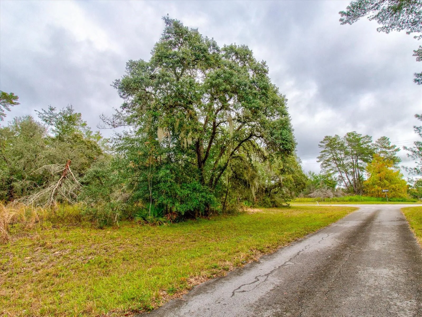 Ocala, Florida 34473, 0 , 0 ,0,Land,For Sale,148TH PLACE,0,T3488686