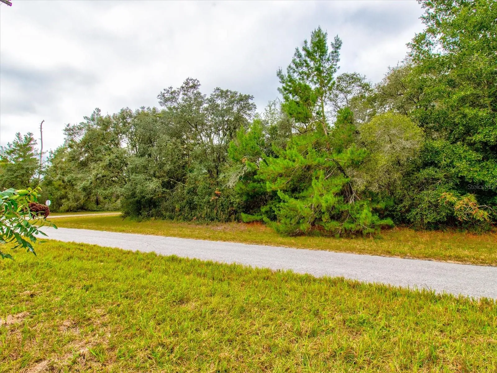 Ocala, Florida 34473, 0 , 0 ,0,Land,For Sale,148TH PLACE,0,T3488686