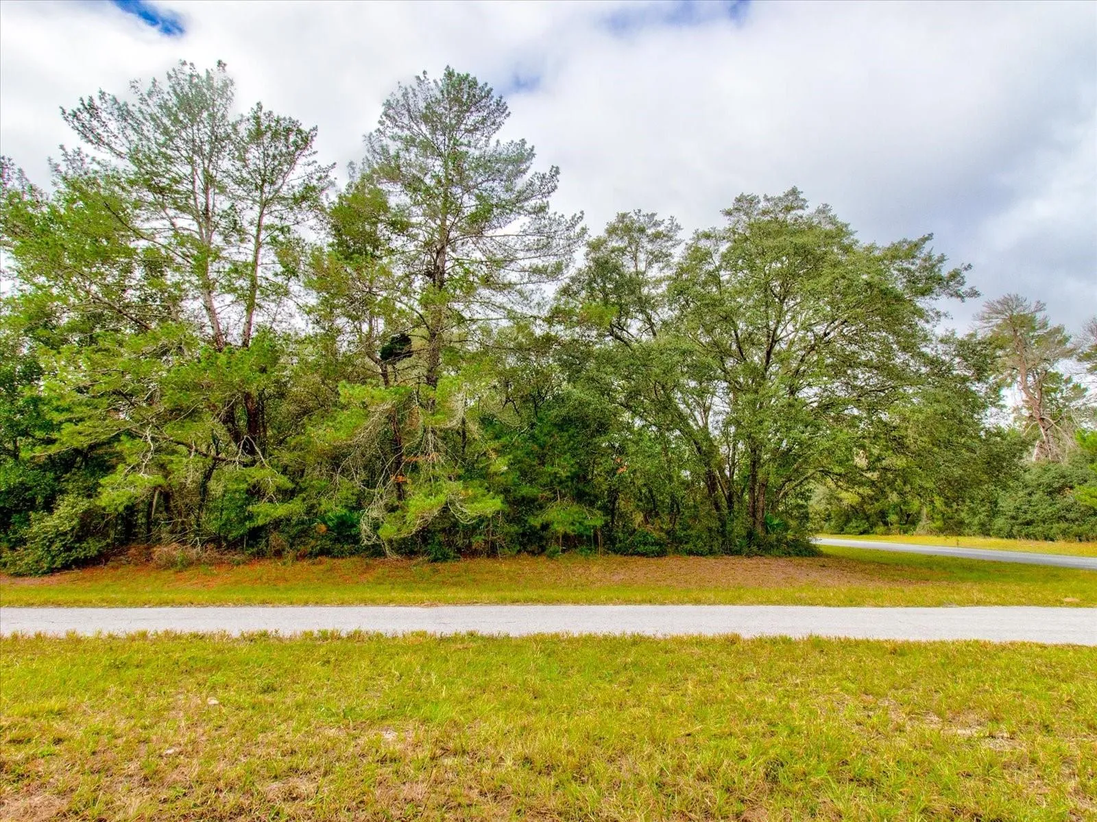 Ocala, Florida 34473, 0 , 0 ,0,Land,For Sale,148TH PLACE,0,T3488686