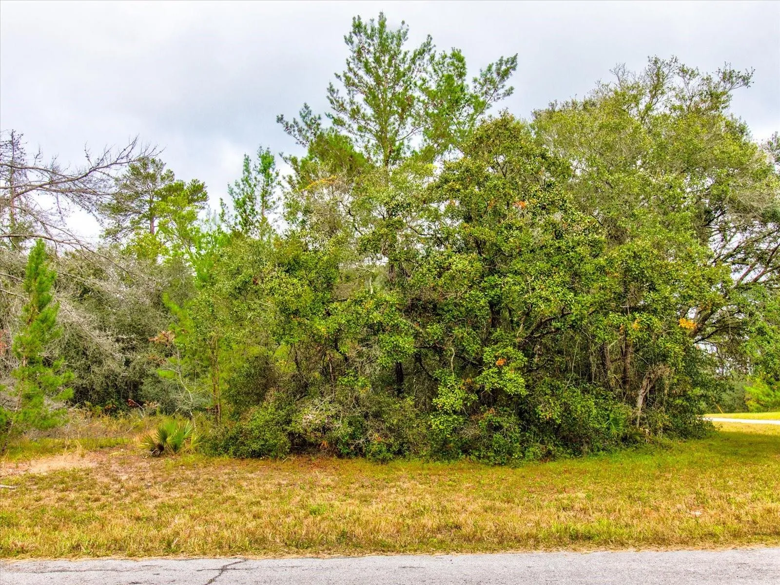 Ocala, Florida 34473, 0 , 0 ,0,Land,For Sale,148TH PLACE,0,T3488686