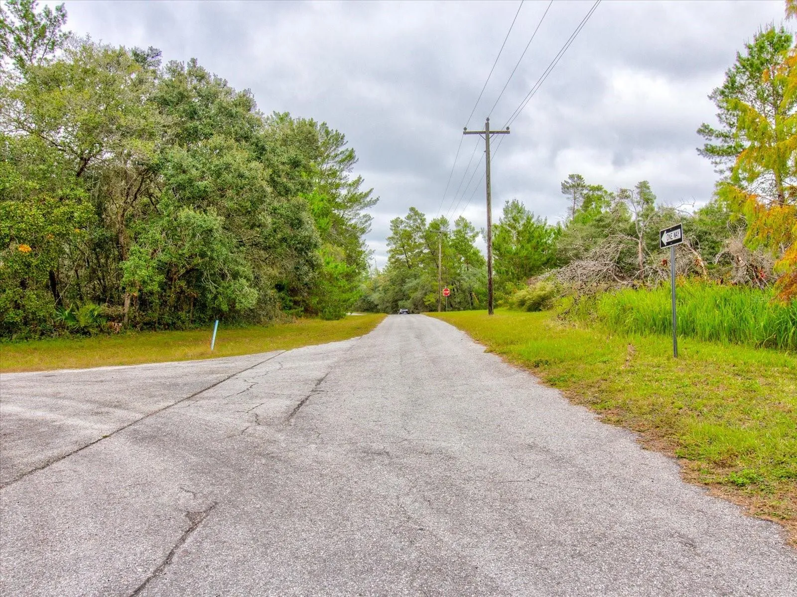 Ocala, Florida 34473, 0 , 0 ,0,Land,For Sale,148TH PLACE,0,T3488686