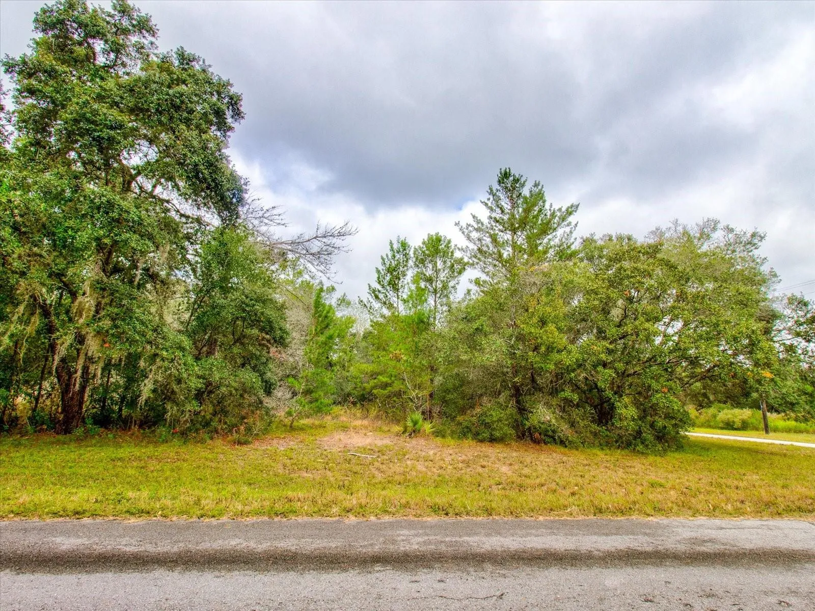 Ocala, Florida 34473, 0 , 0 ,0,Land,For Sale,148TH PLACE,0,T3488686