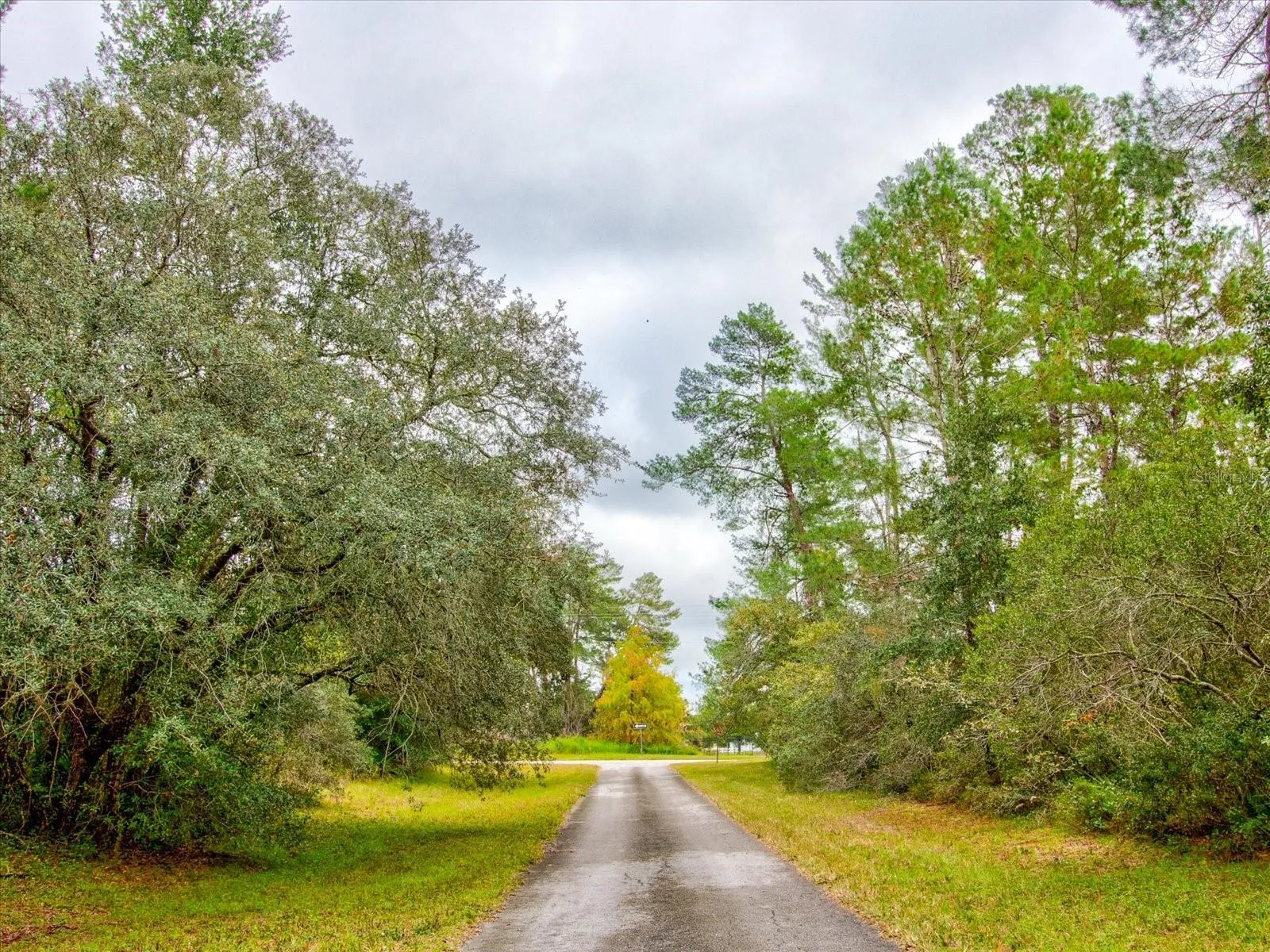 Ocala, Florida 34473, 0 , 0 ,0,Land,For Sale,148TH PLACE,0,T3488686