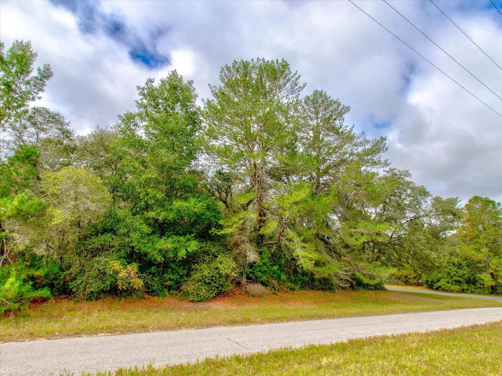 Ocala, Florida 34473, 0 , 0 ,0,Land,For Sale,148TH PLACE,0,T3488686